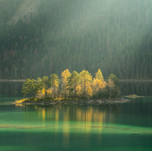 about-img-01 About Img 01